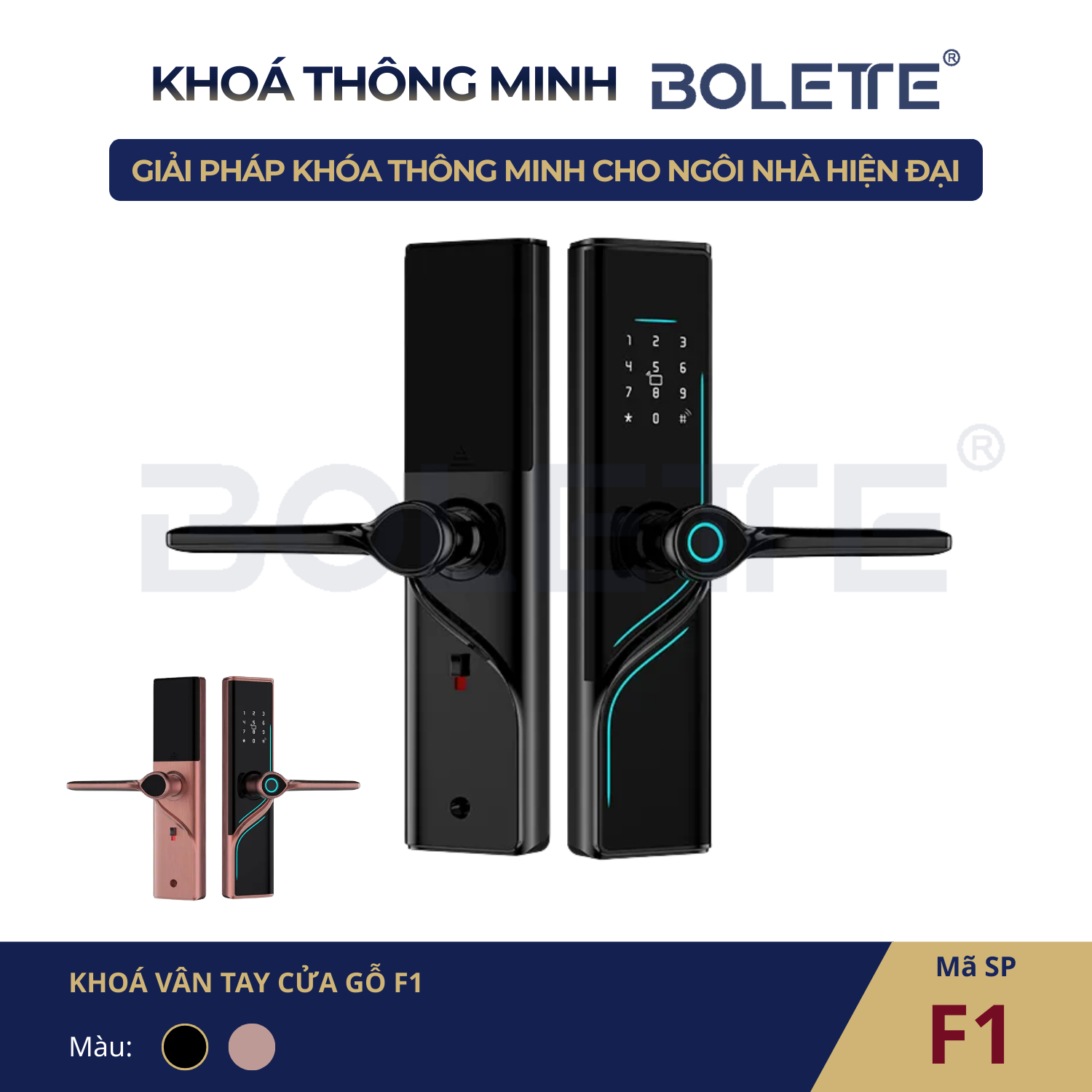 F1 Khoá Vân Tay Cửa Gỗ F1 - Ảnh 1